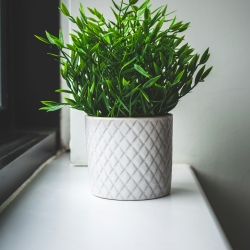 Elegant Ceramic Plant Pot – Modern Style Includes Drainage Hole and Saucer Durable, Waterproof, Stylish Finish Perfect for Indoor Succulents and Herbs